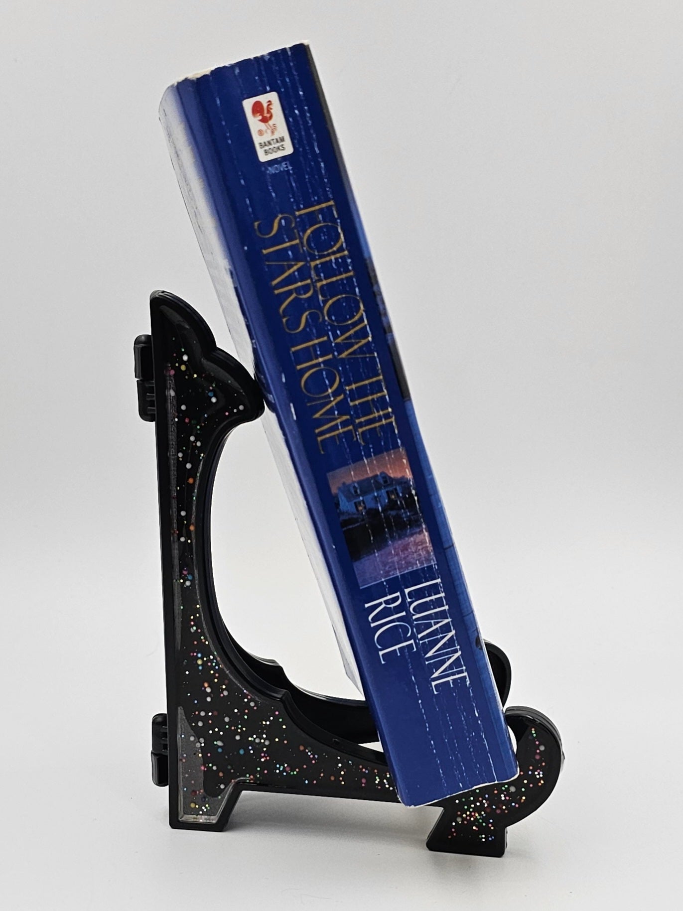 Follow the Stars Home By: Luanne Rice