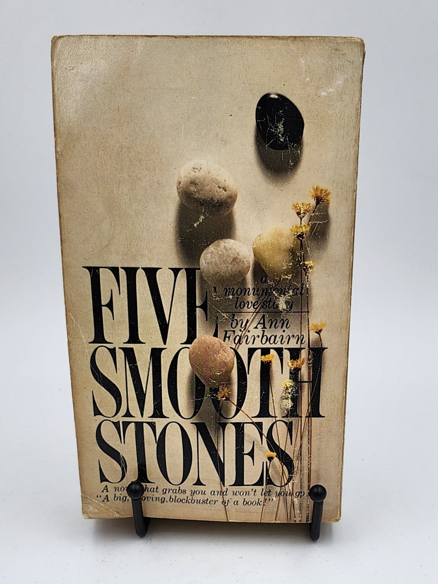 Five Smooth Stones by Ann Fairbairn
