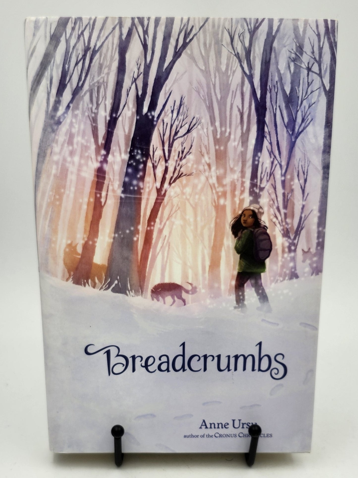 Breadcrumbs by Anne Ursu