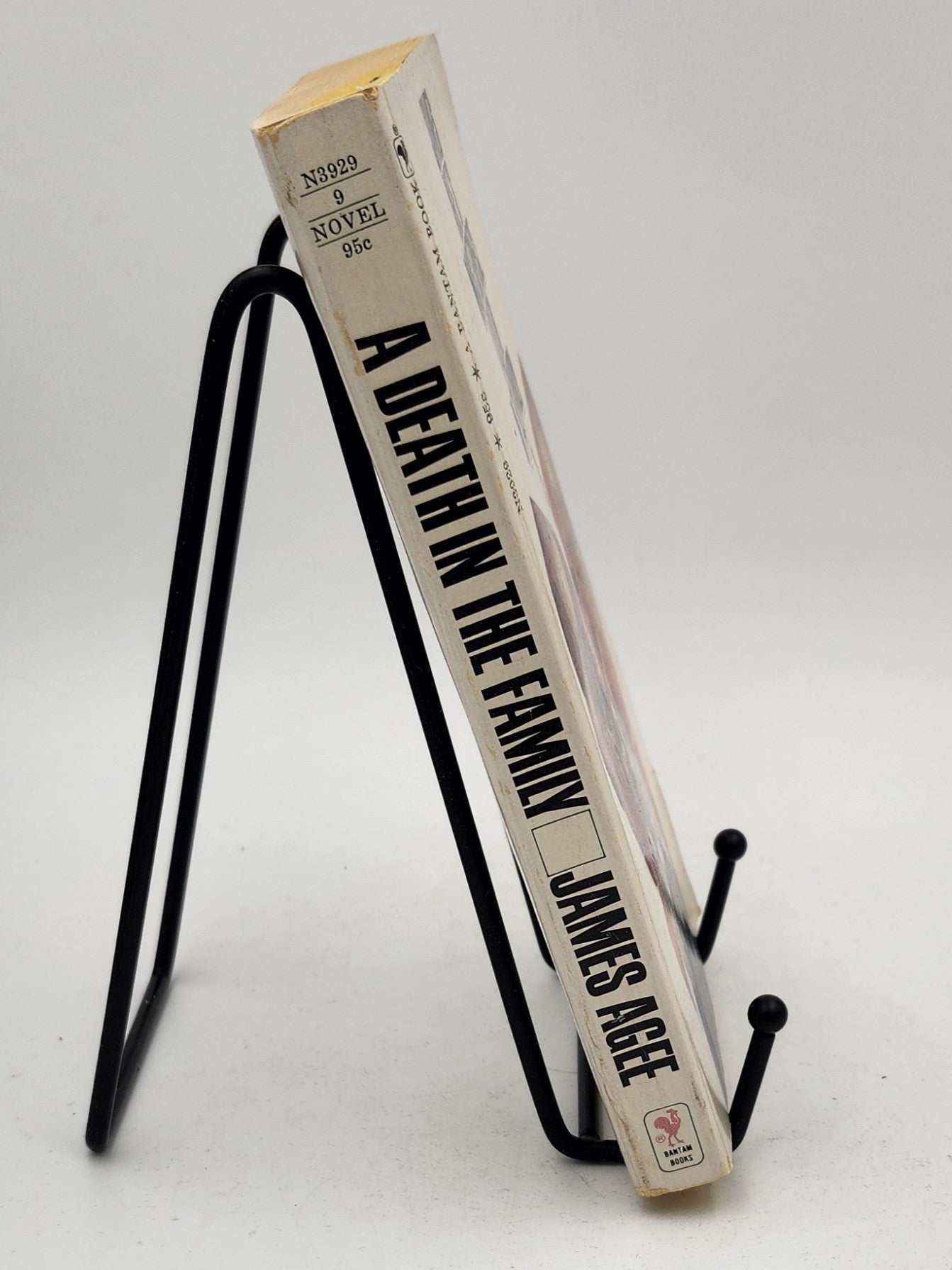 A Death in the Family by James Agee