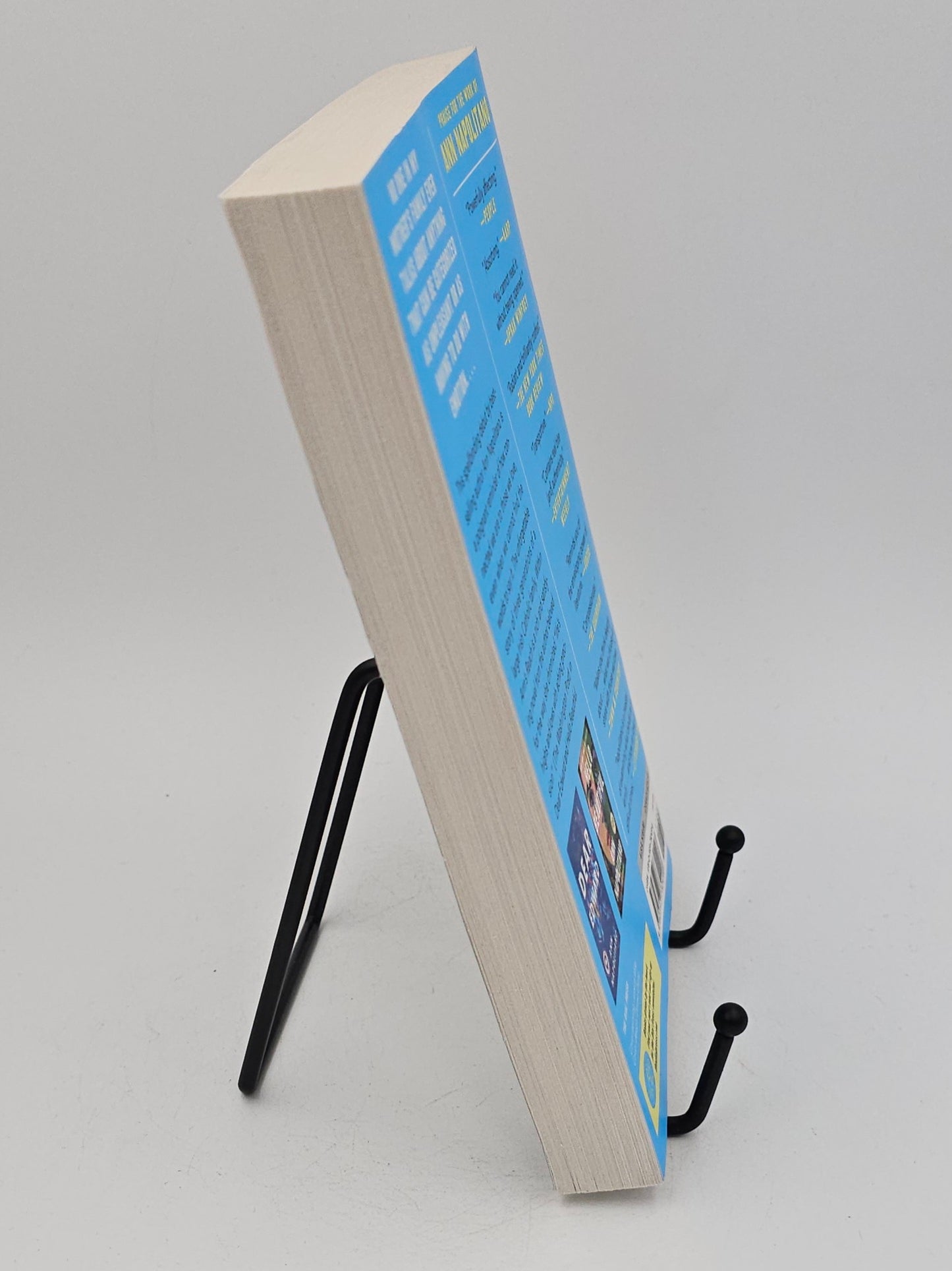 Within Arm's Reach by Ann Napolitano