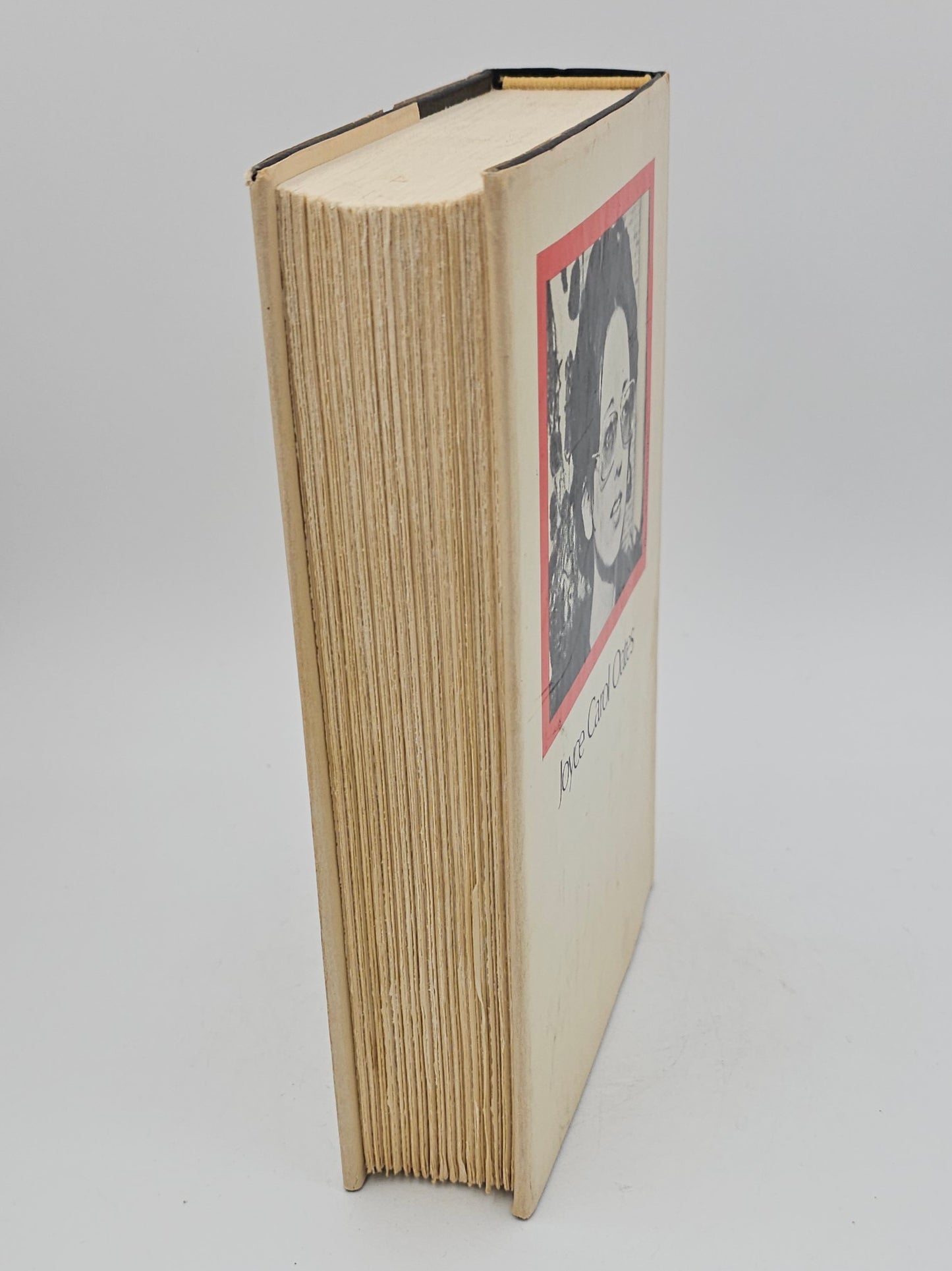 The Assassins by Joyce Carol Oates