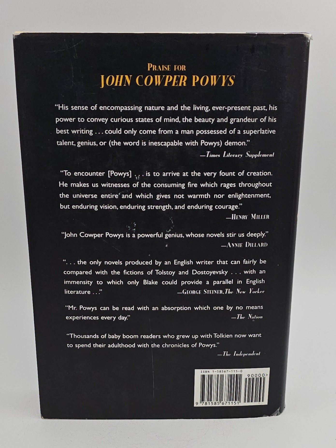 Maiden Castle by John Cowper Powys (Wessex #4)