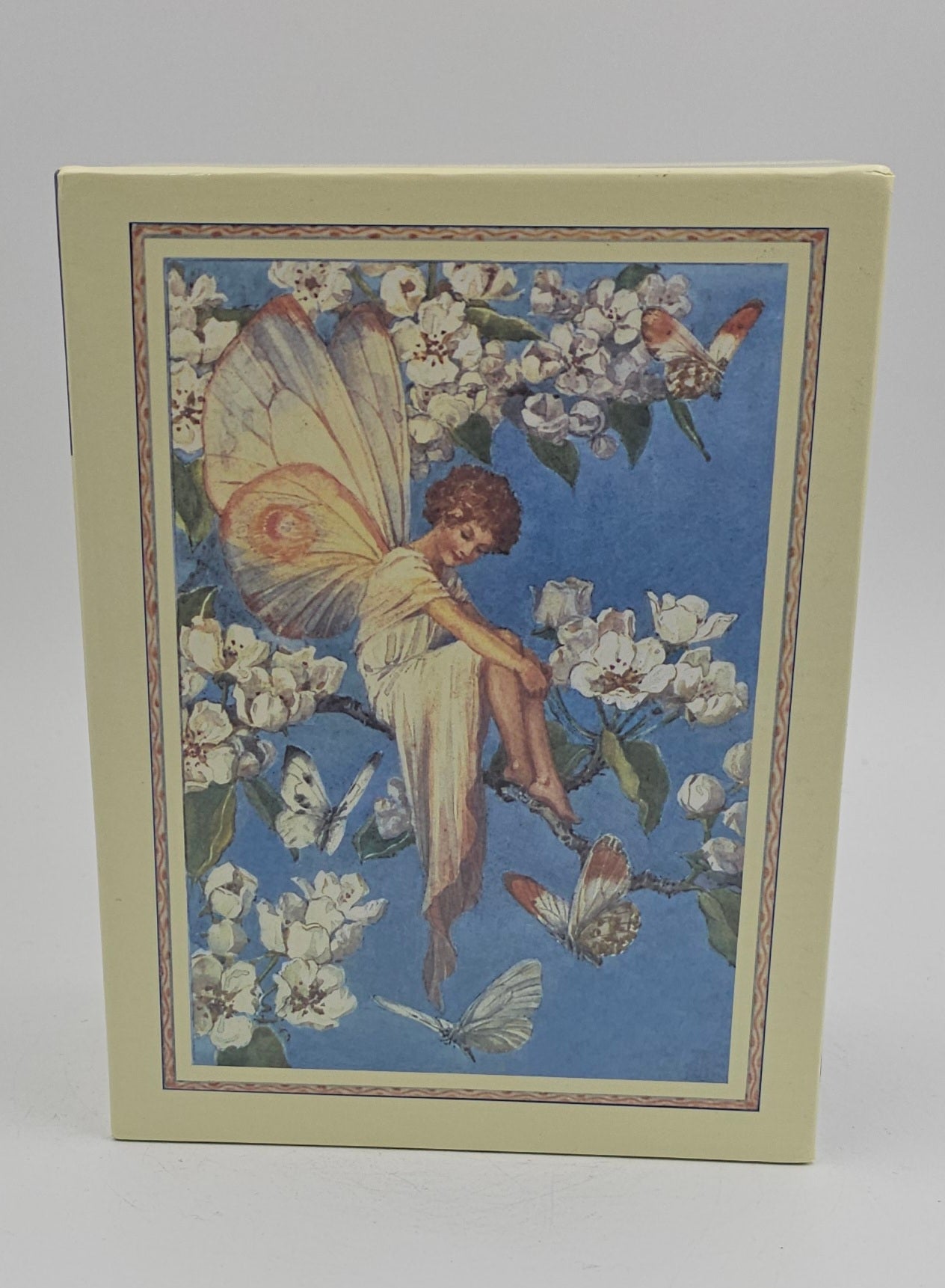 Fairies Slipcase by Marion St John Webb