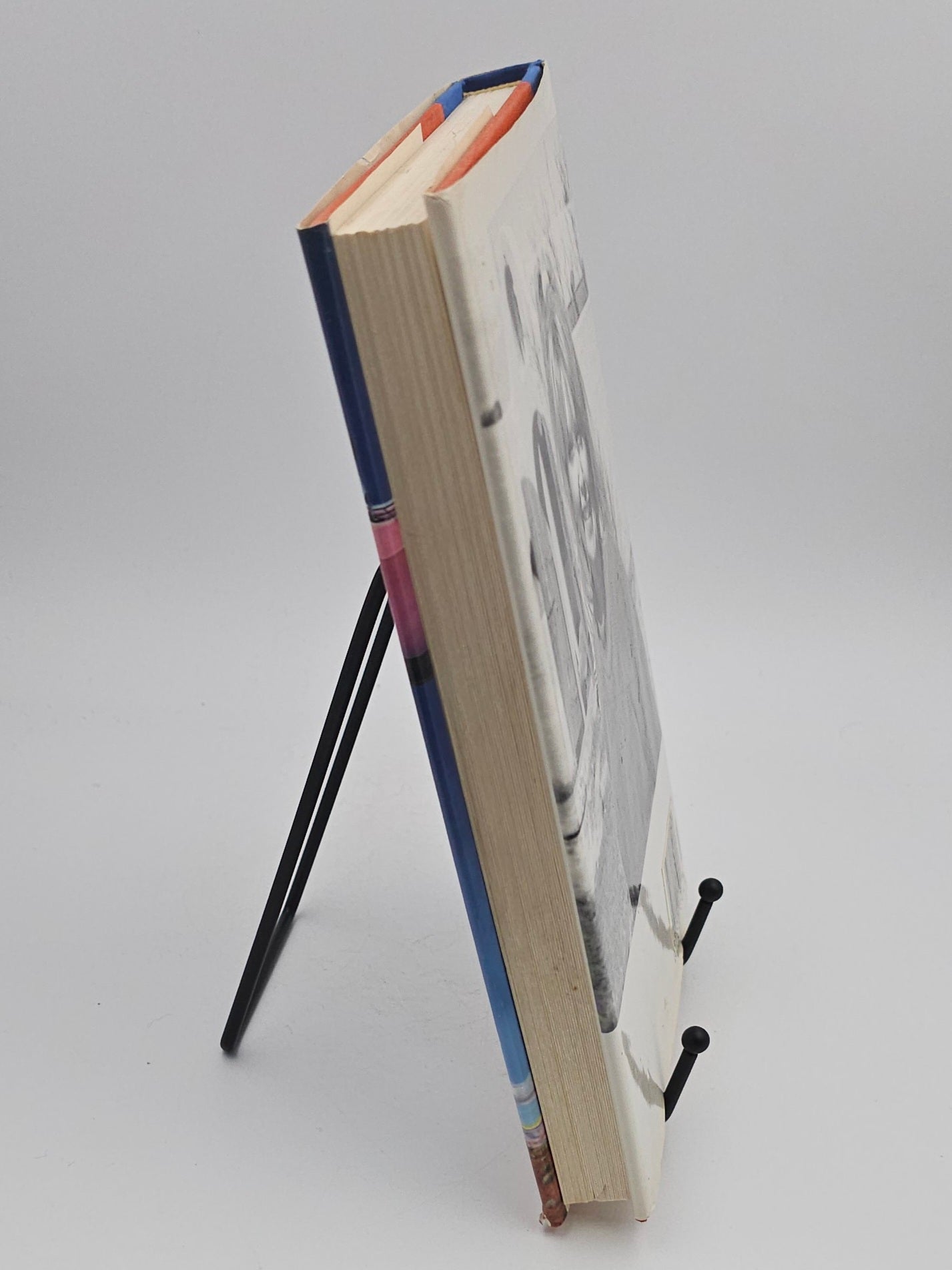Stepwives by Phillis Stevens