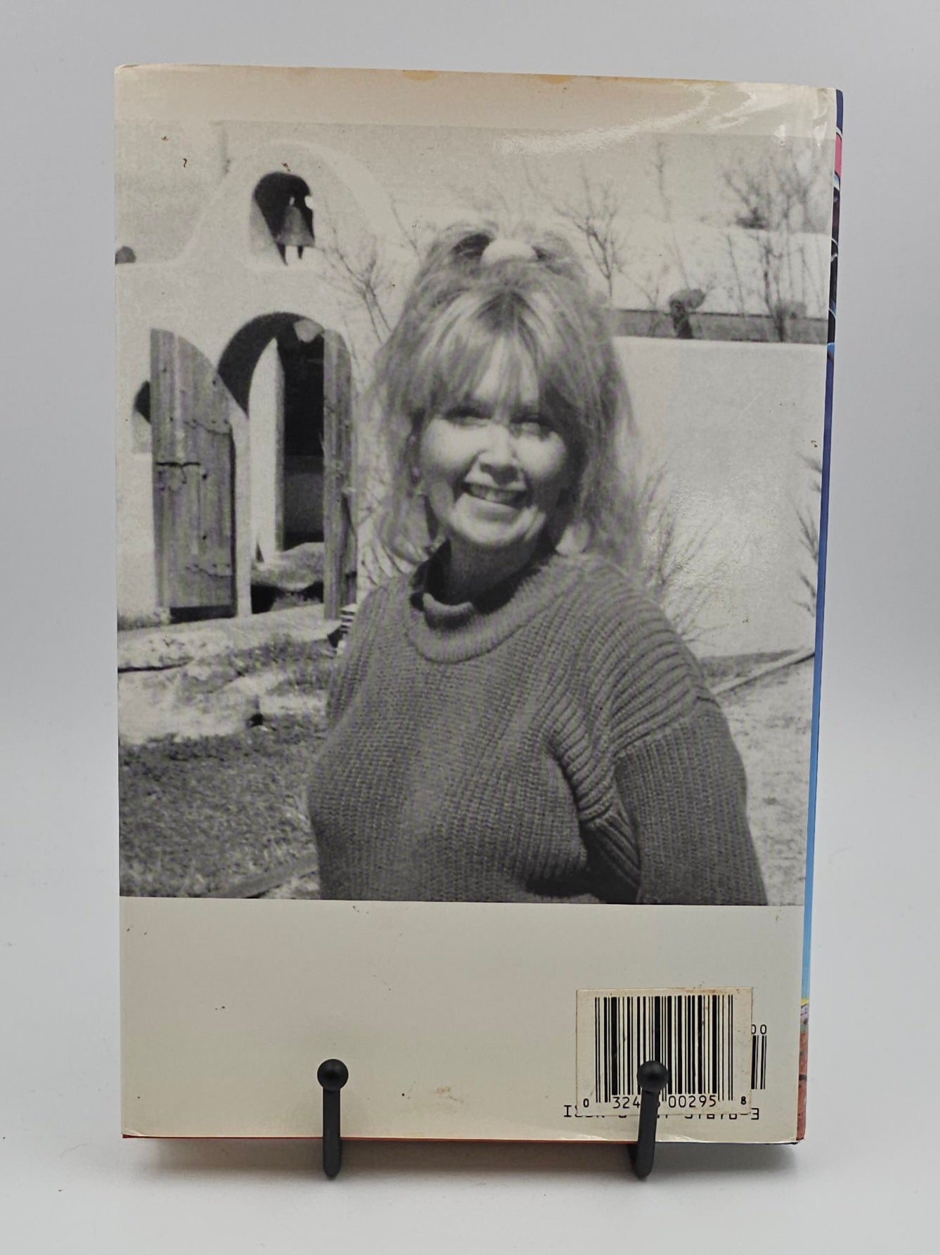Stepwives by Phillis Stevens