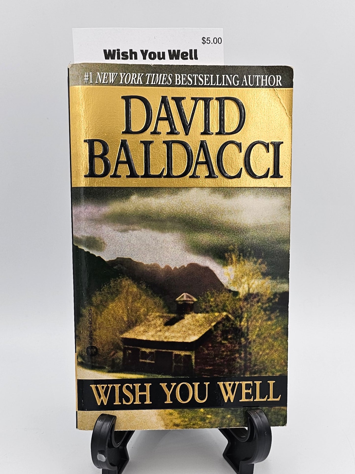 Wish You Well By: David Baldacci