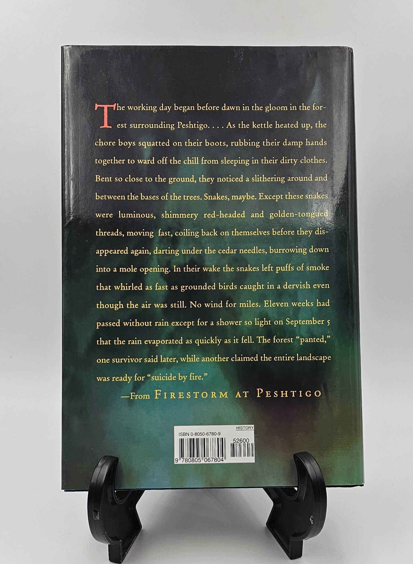 Firestorm at Peshtigo by Denise Gess and William Lutz