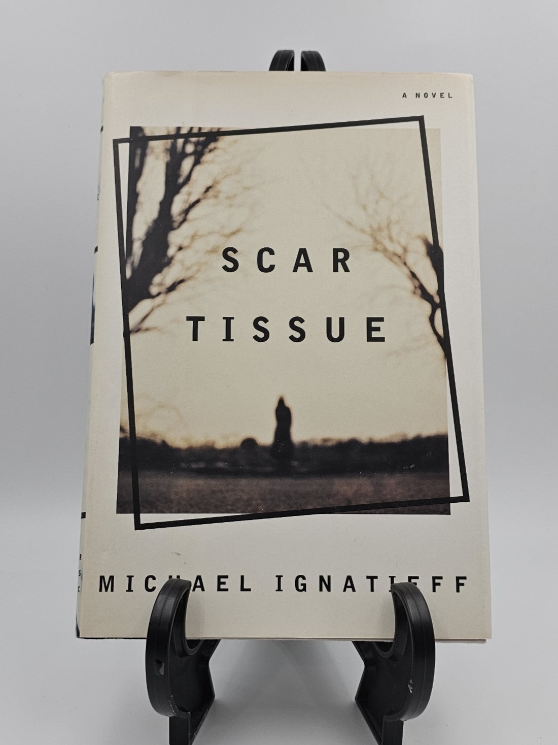 Scar Tissue by Michael Ignatieff