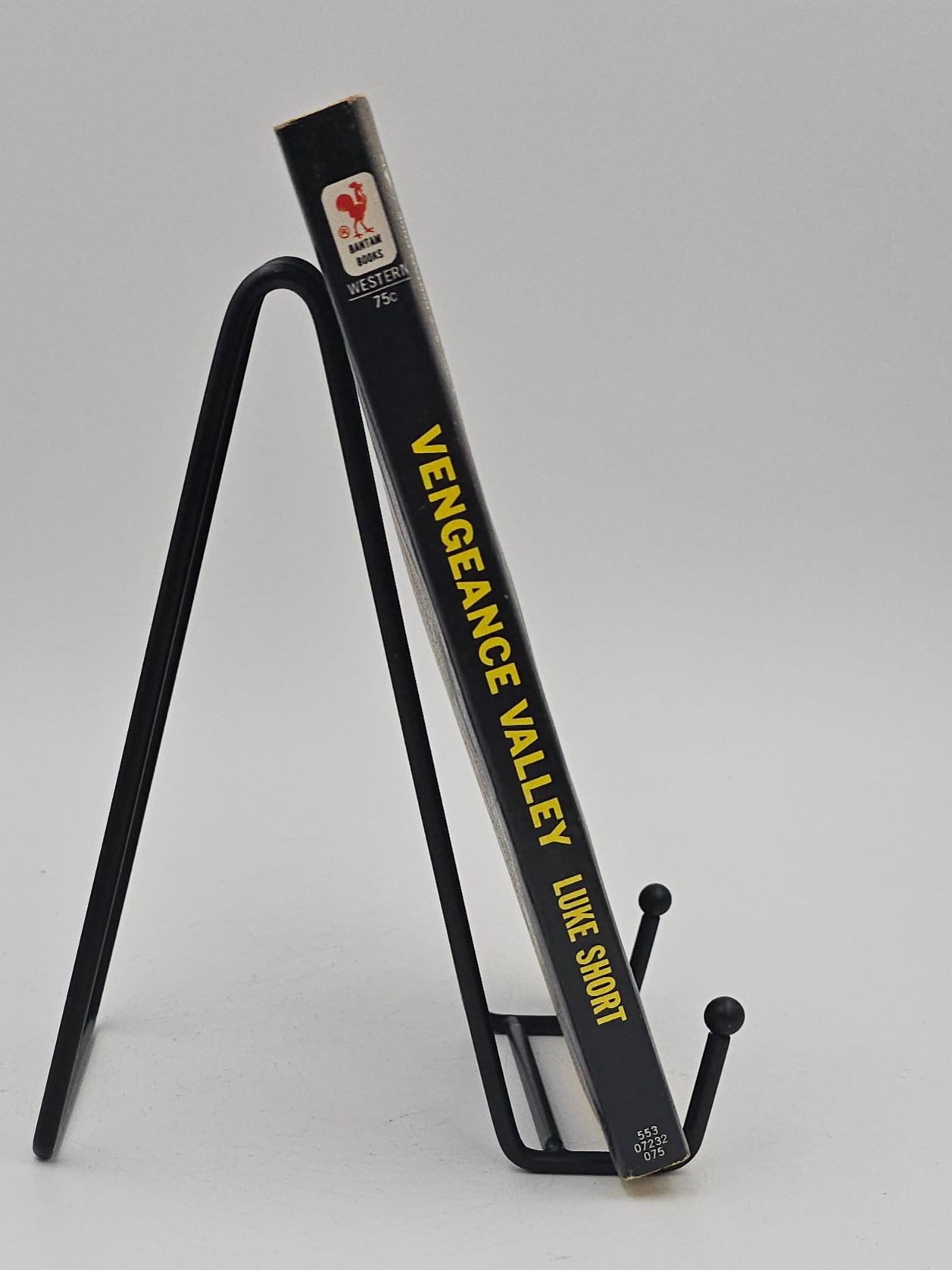 Vengeance Valley by Luke Short