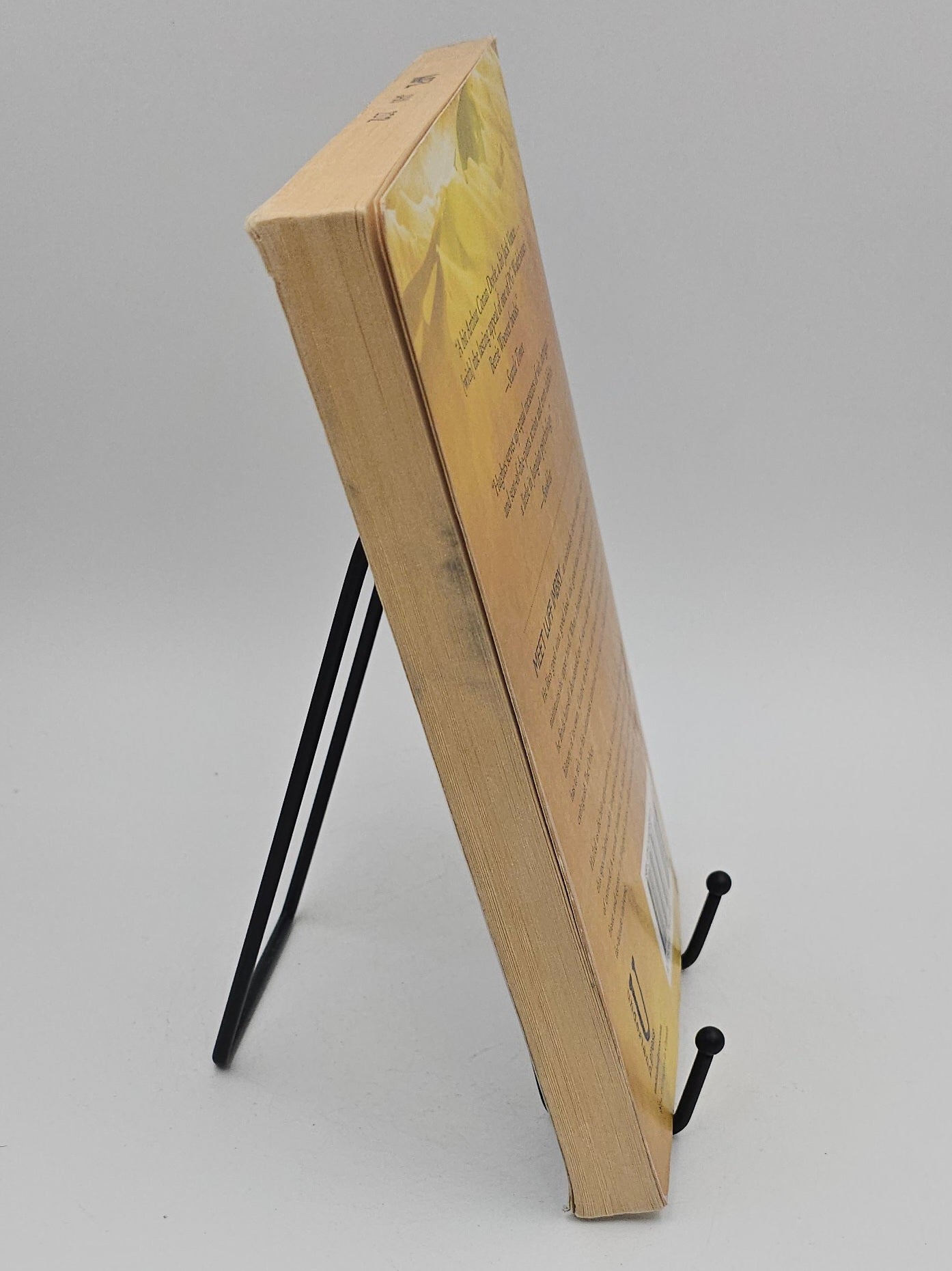 The Other by Matthew Hughes (Archonate Universe)