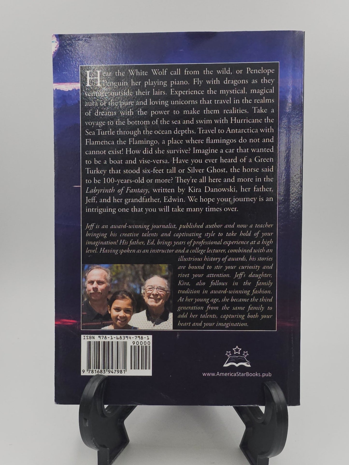 Labyrinth of Fantasy by Edwin Danowski, Jeffrey Danowski, and Kira Danowski