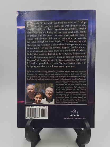 Labyrinth of Fantasy by Edwin Danowski, Jeffrey Danowski, and Kira Danowski