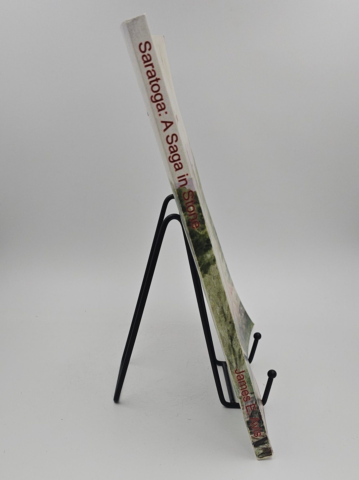 Saratoga: A Saga in Stone by Jame E. Avis