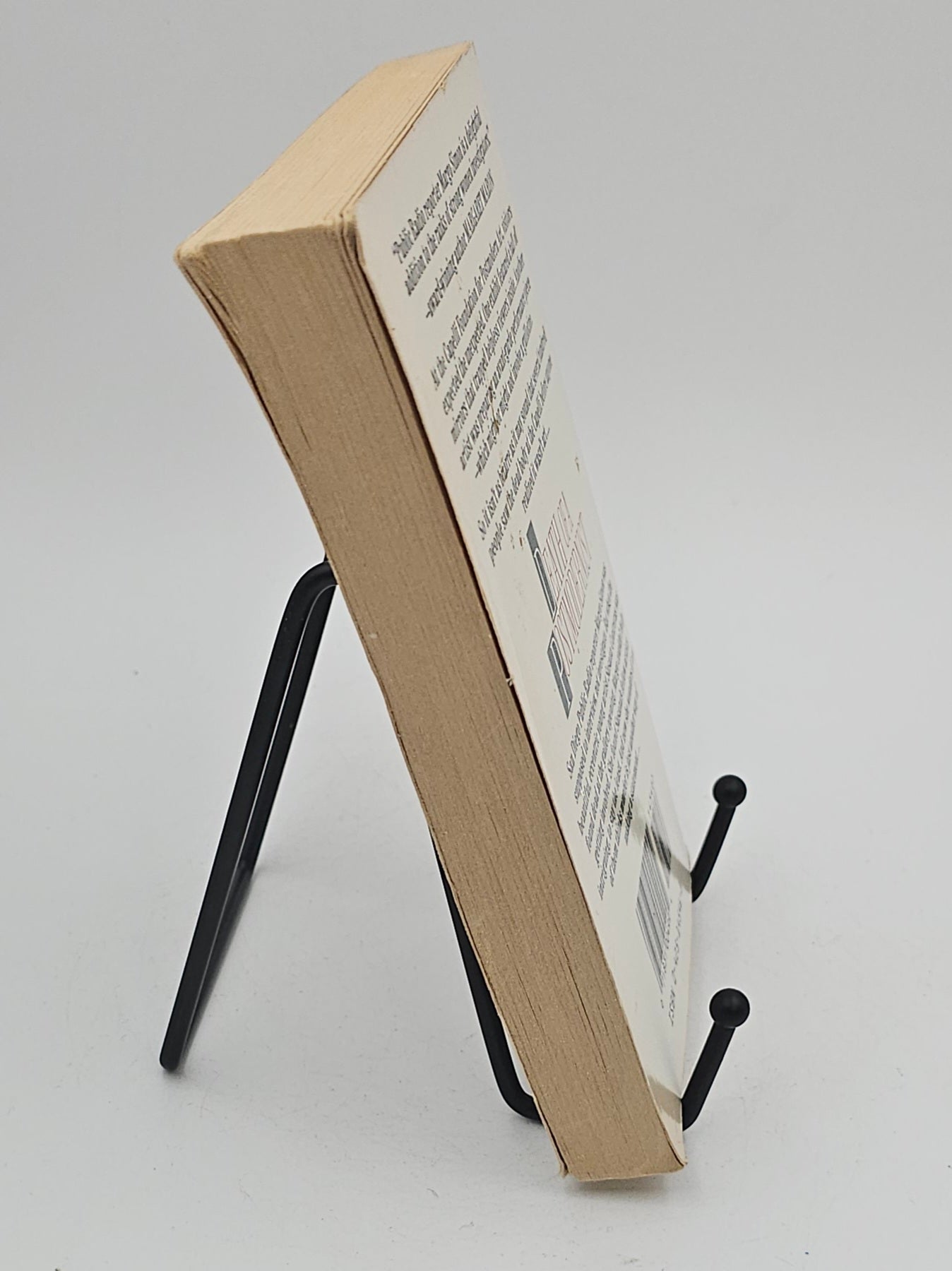 Death of a Postmodernist by Janice Steinberg (Margo Simon #1)