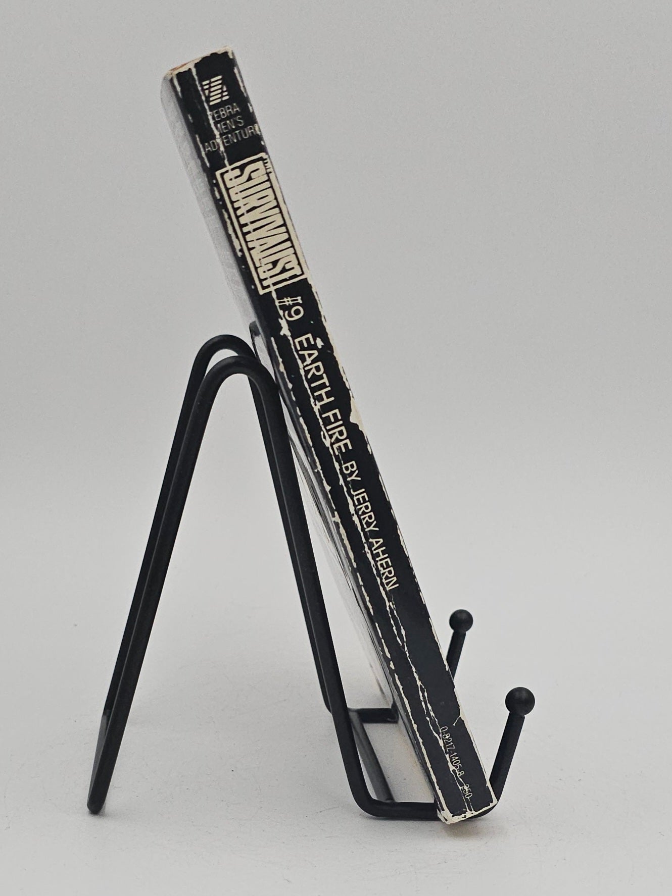 Earth Fire by Jerry Ahern (The Survivalist #9)