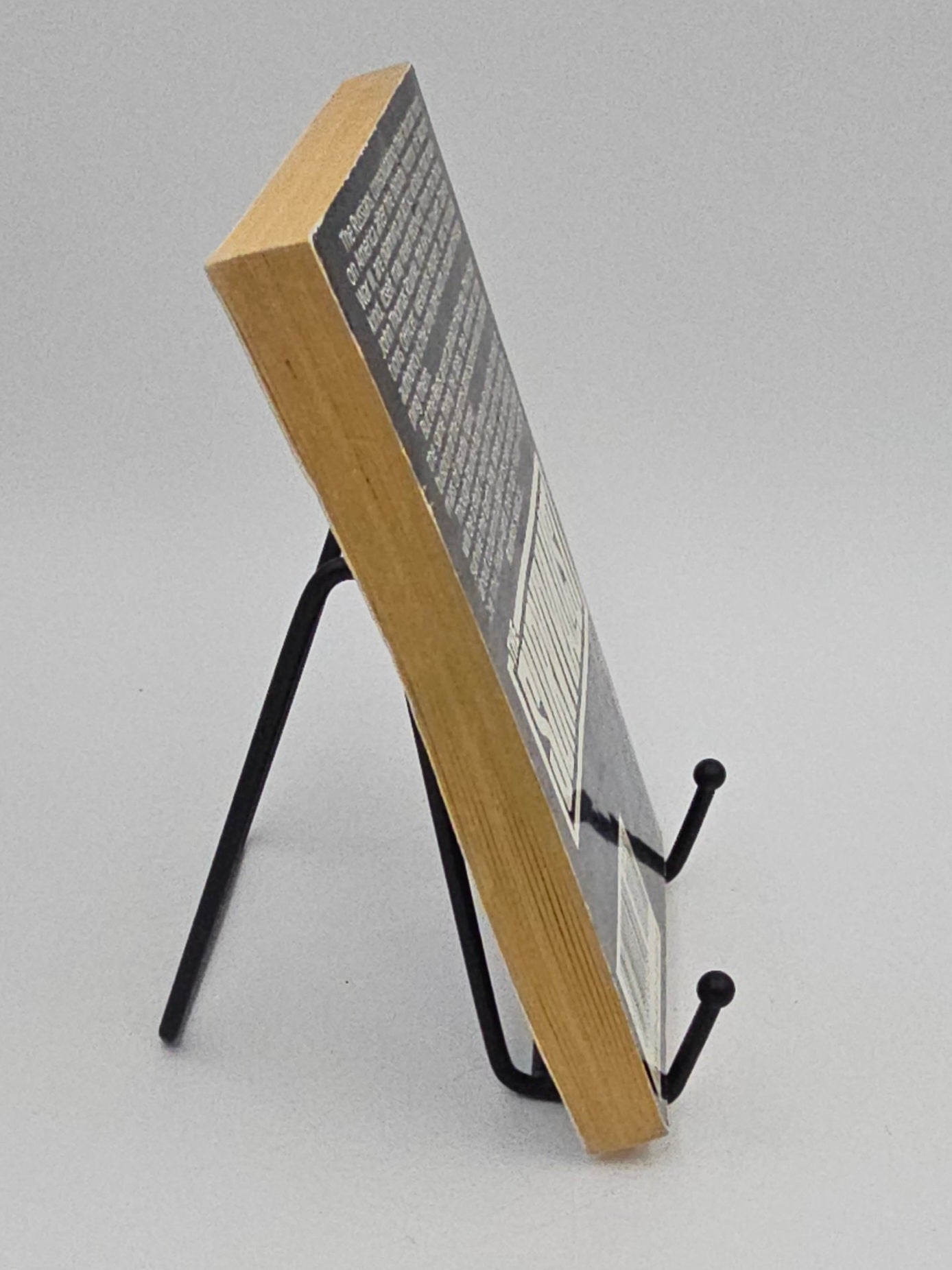 Earth Fire by Jerry Ahern (The Survivalist #9)