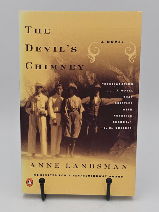 The Devil's Chimney by Anne Landsman