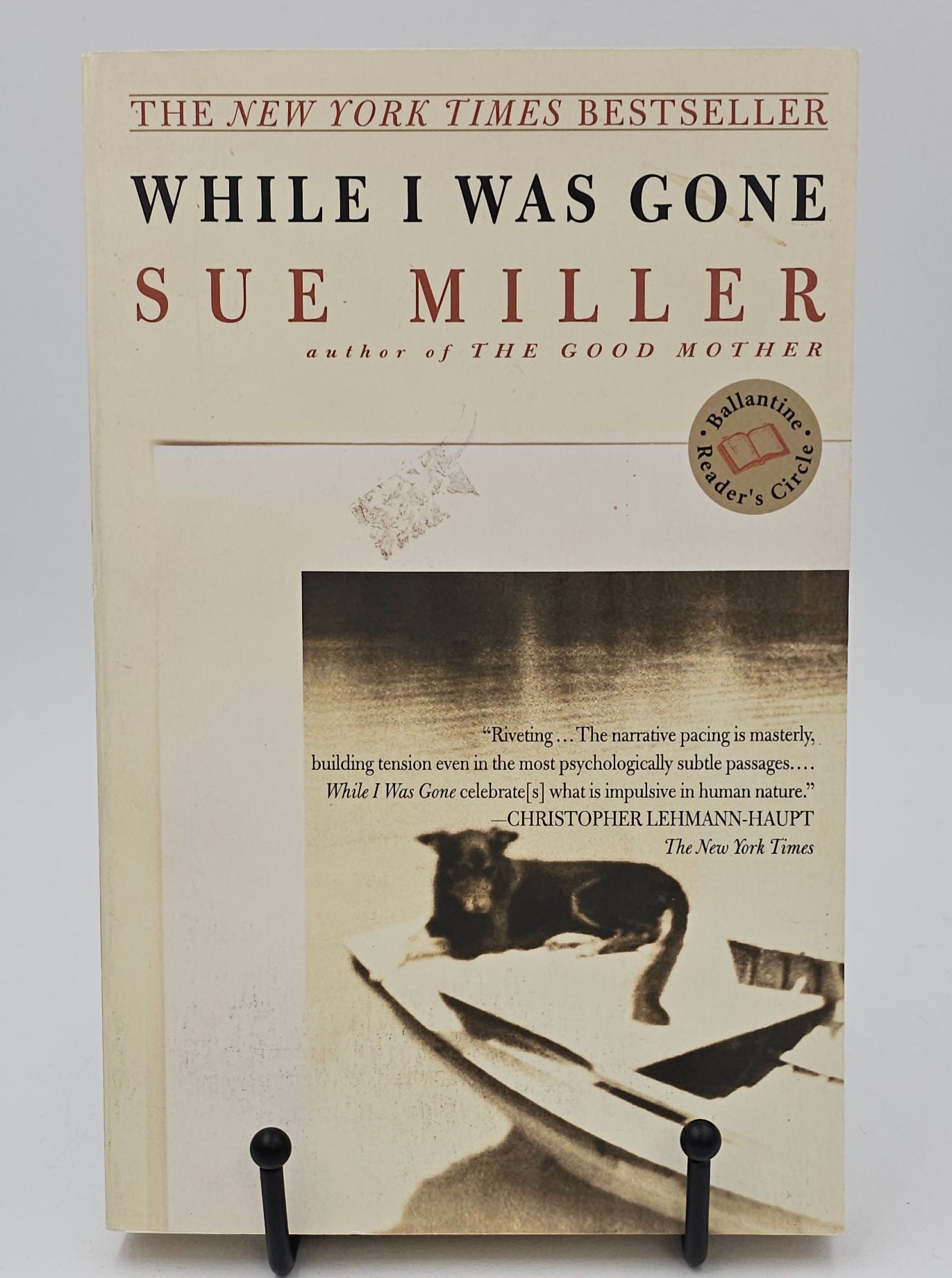 While I Was Gone by Sue Miller