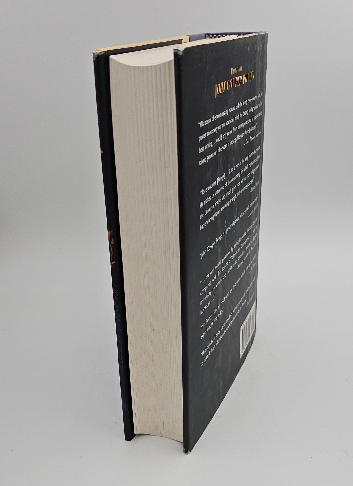 Maiden Castle by John Cowper Powys (Wessex #4)