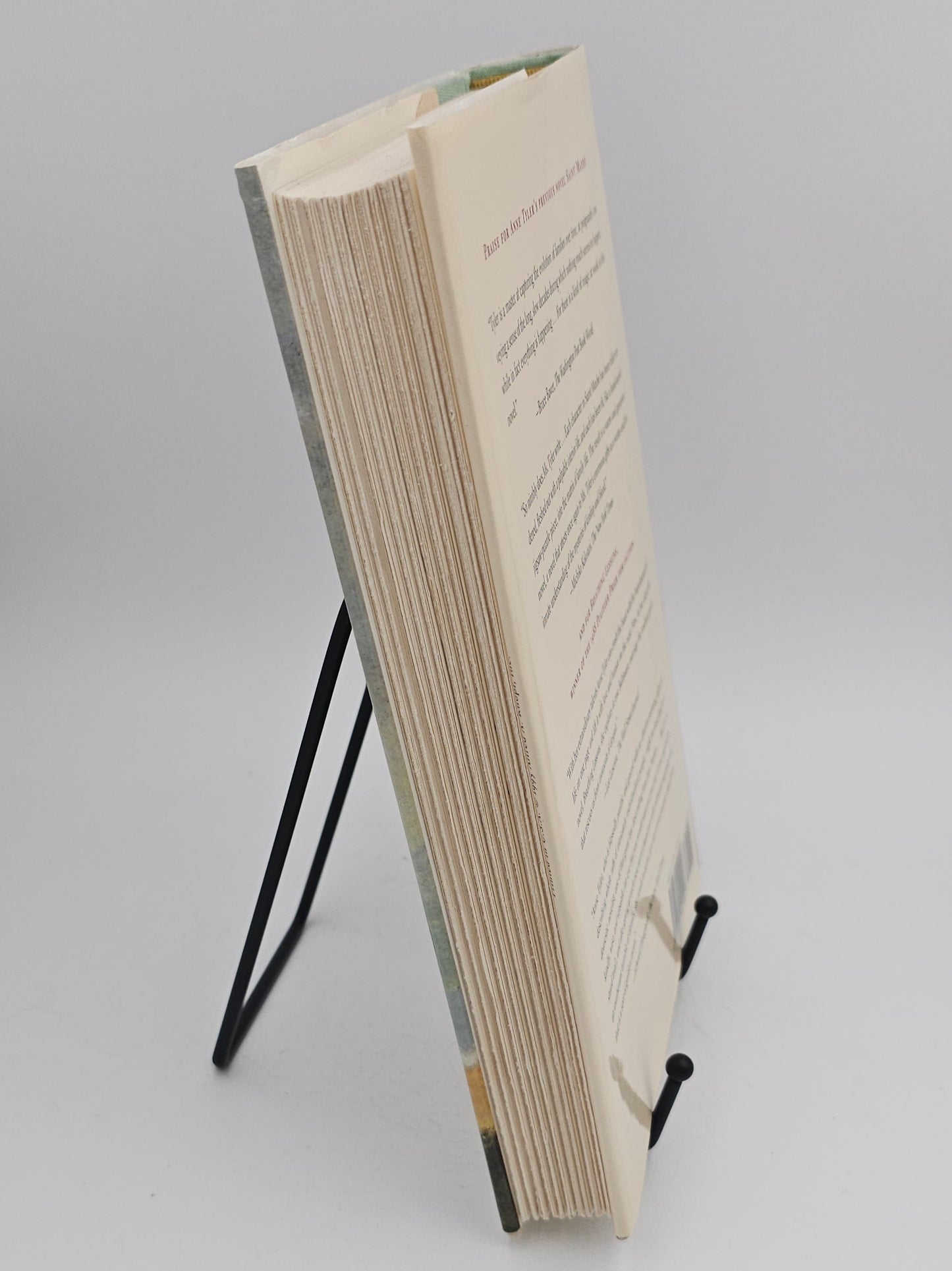 Ladder Of Years by Anne Tyler