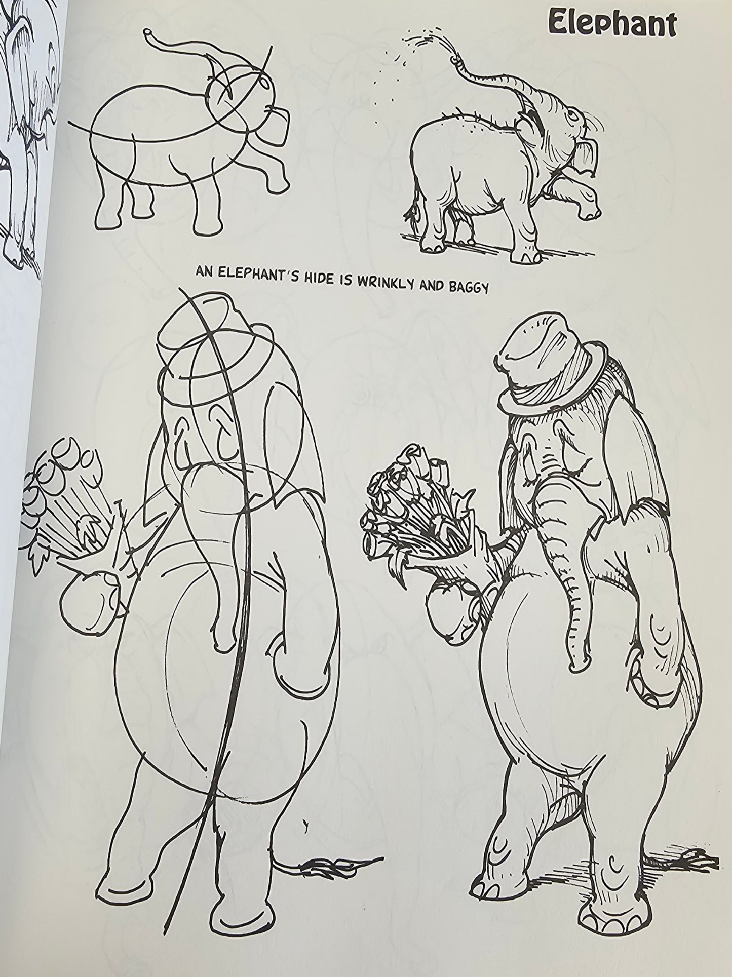 Gabriel's Friends: An A to Z Guide to Cartooning the Animal Kingdom by Michael Gabriel