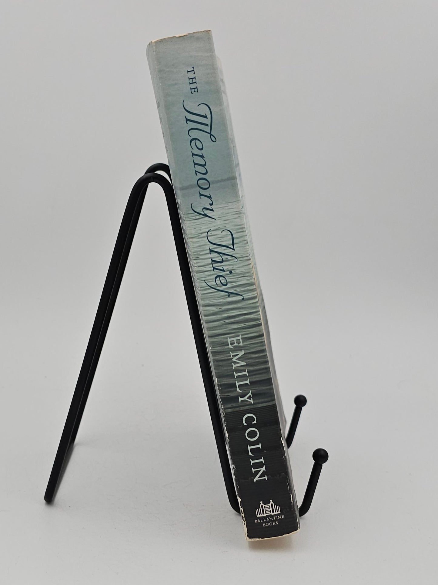 The Memory Thief by Emily Colin