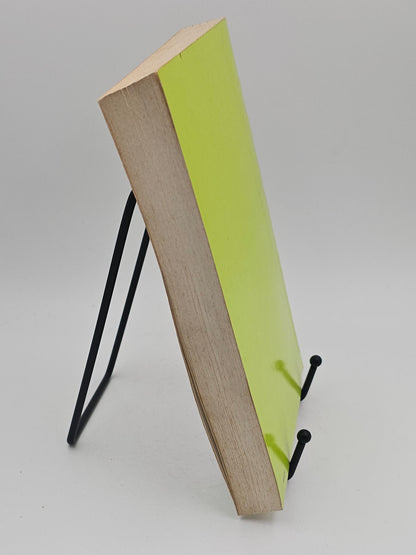 Simplicius Simplicissimus by Johann J. C. von Grimmelshausen