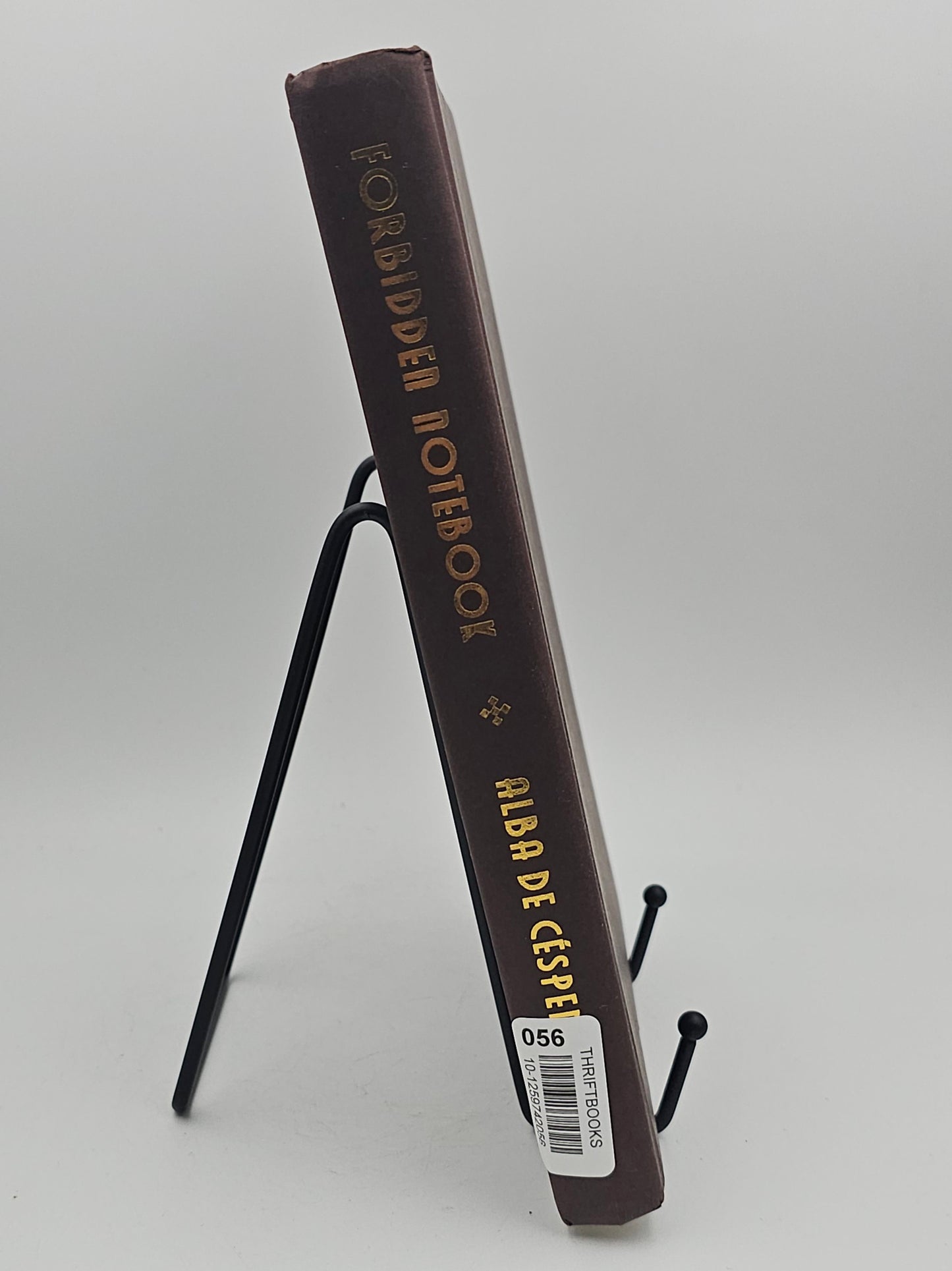 Forbidden Notebook by Alba de Céspedes