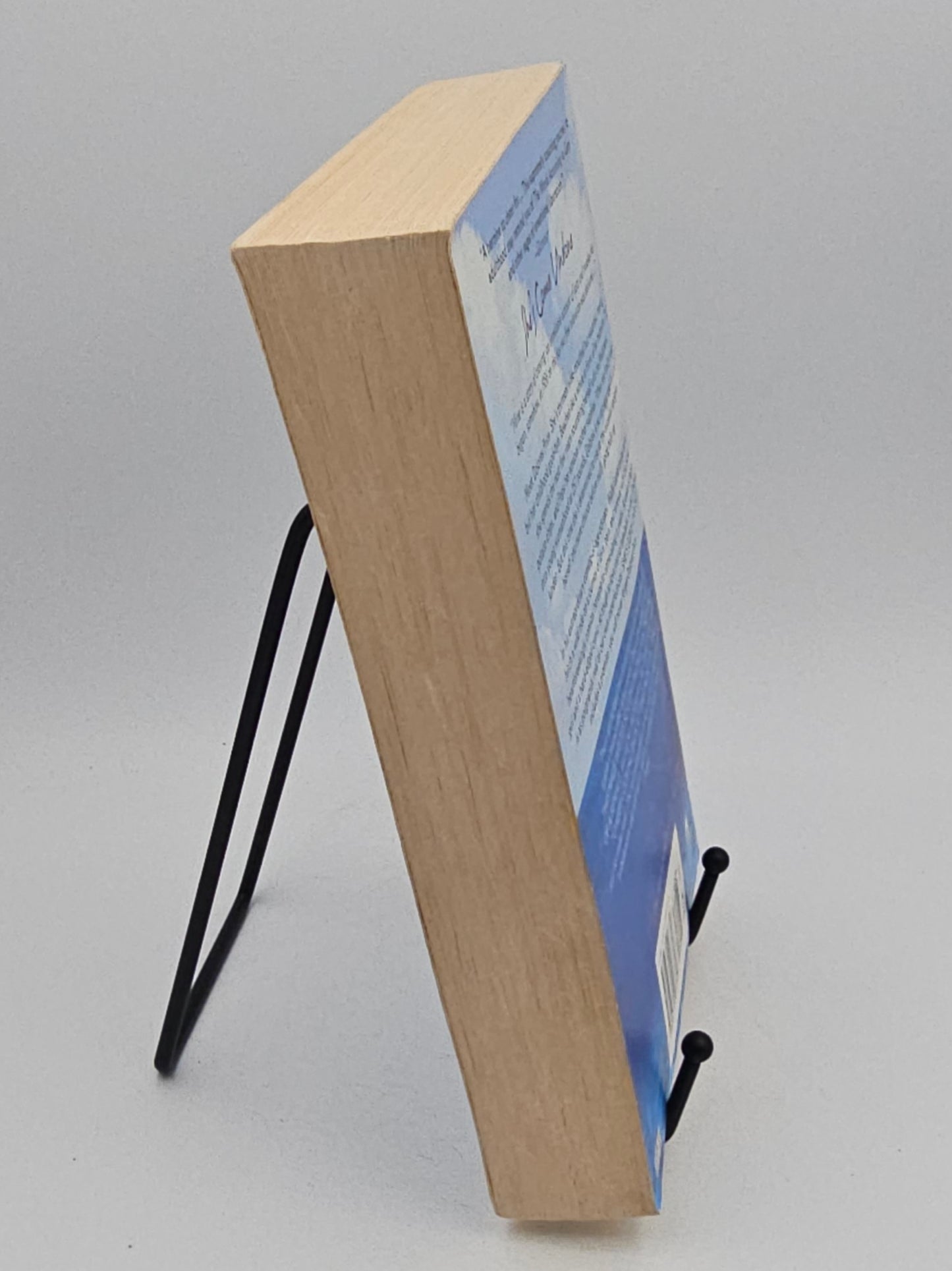 She's Come Undone by Wally Lamb