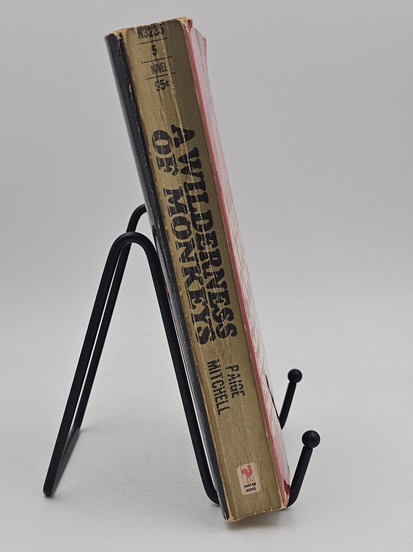 A Wilderness of Monkeys by Paige Mitchell