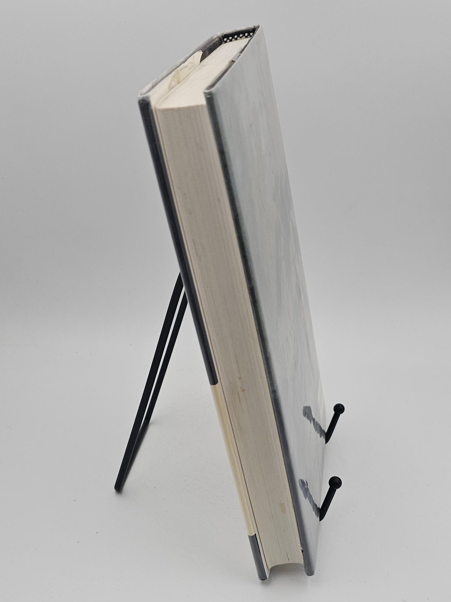 The House Gun by Nadine Gordimer