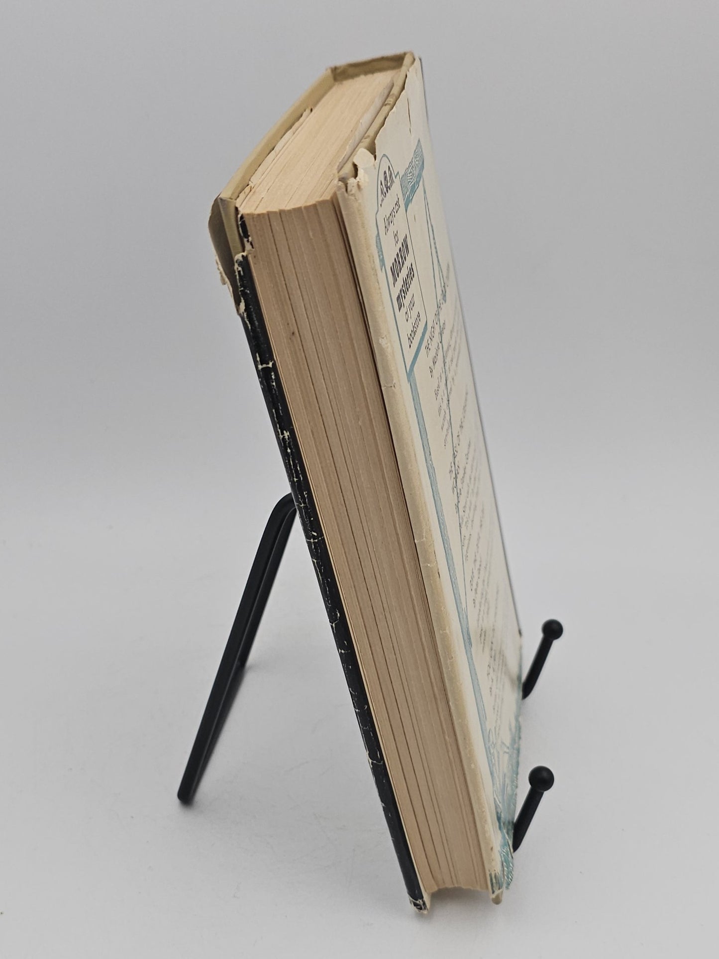 How Still My Love by Doris Siegel