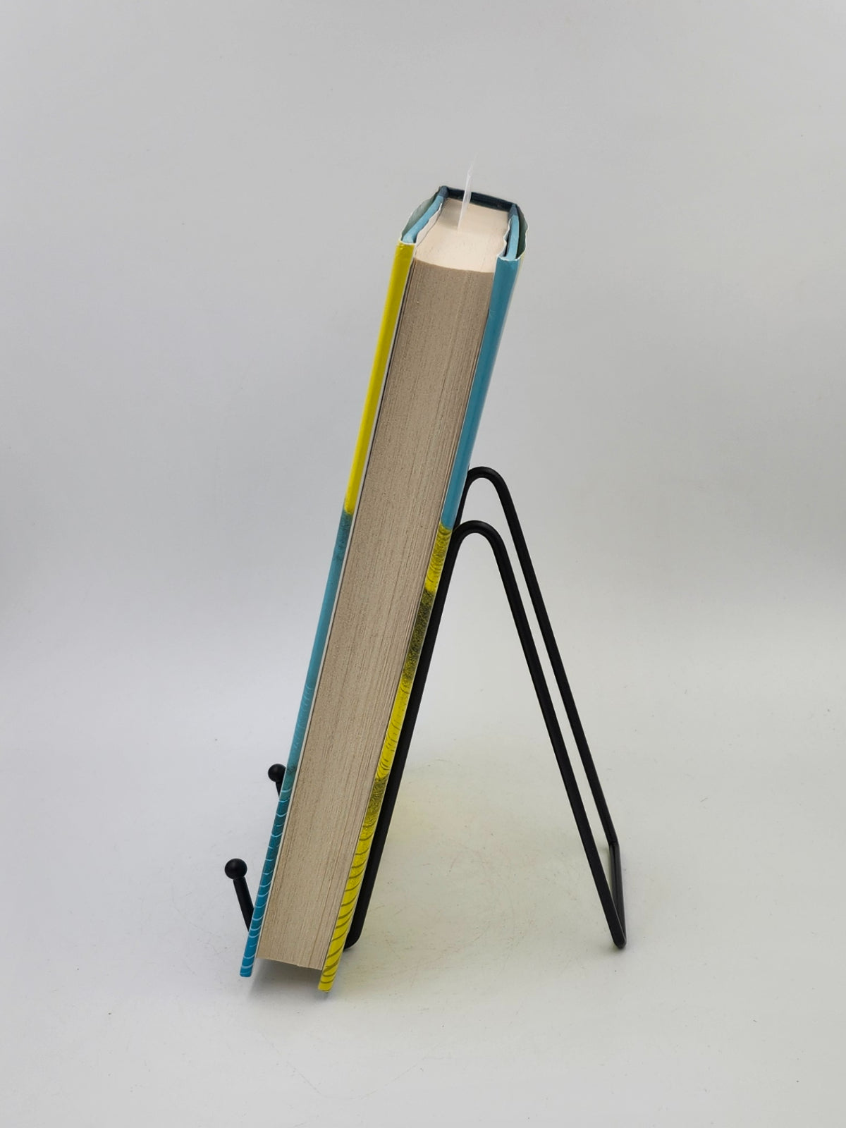 Forest Dark by Nicole Krauss