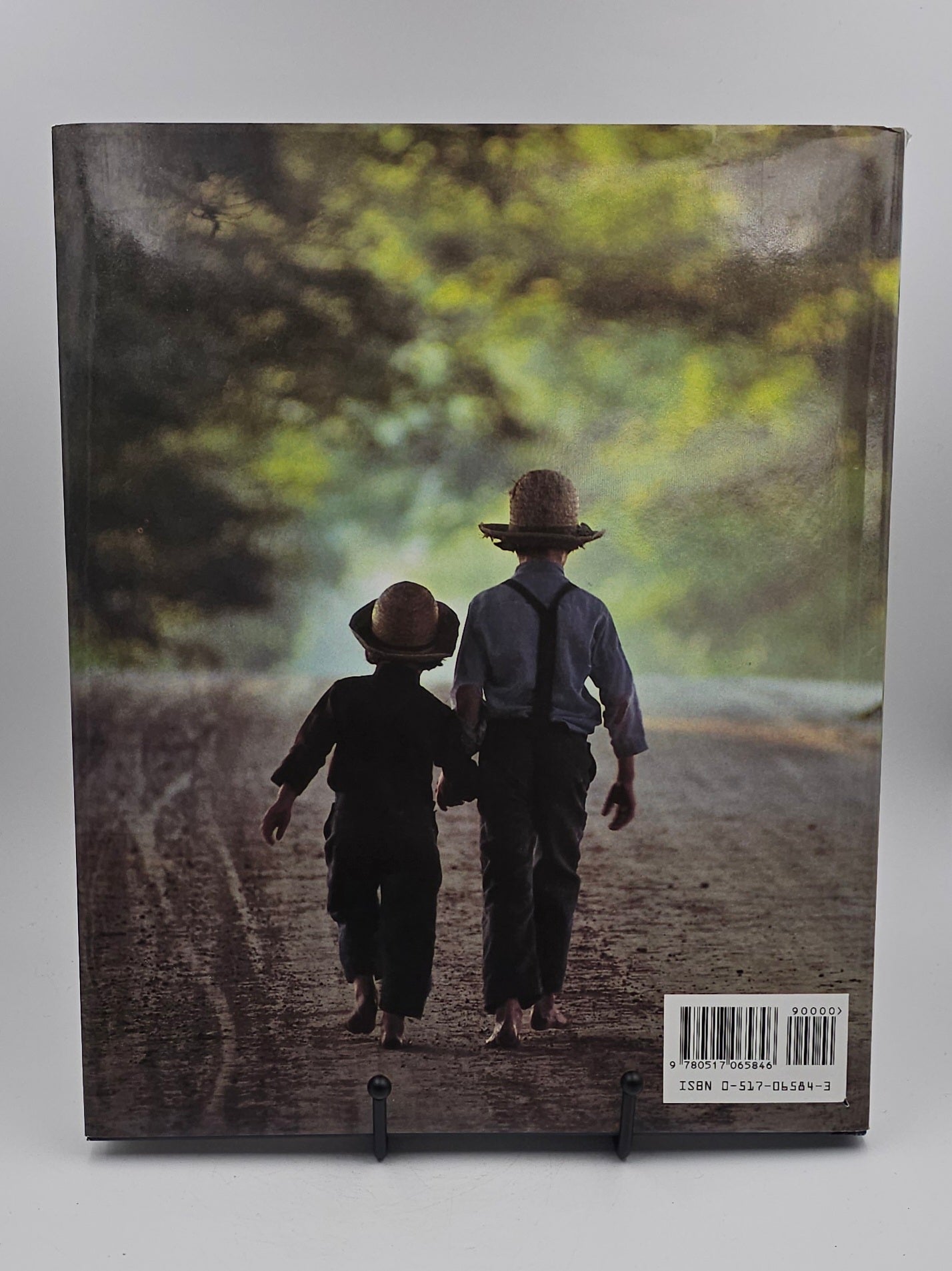 Amish Life A Portrait of Plain Living by John V. Wasilchick