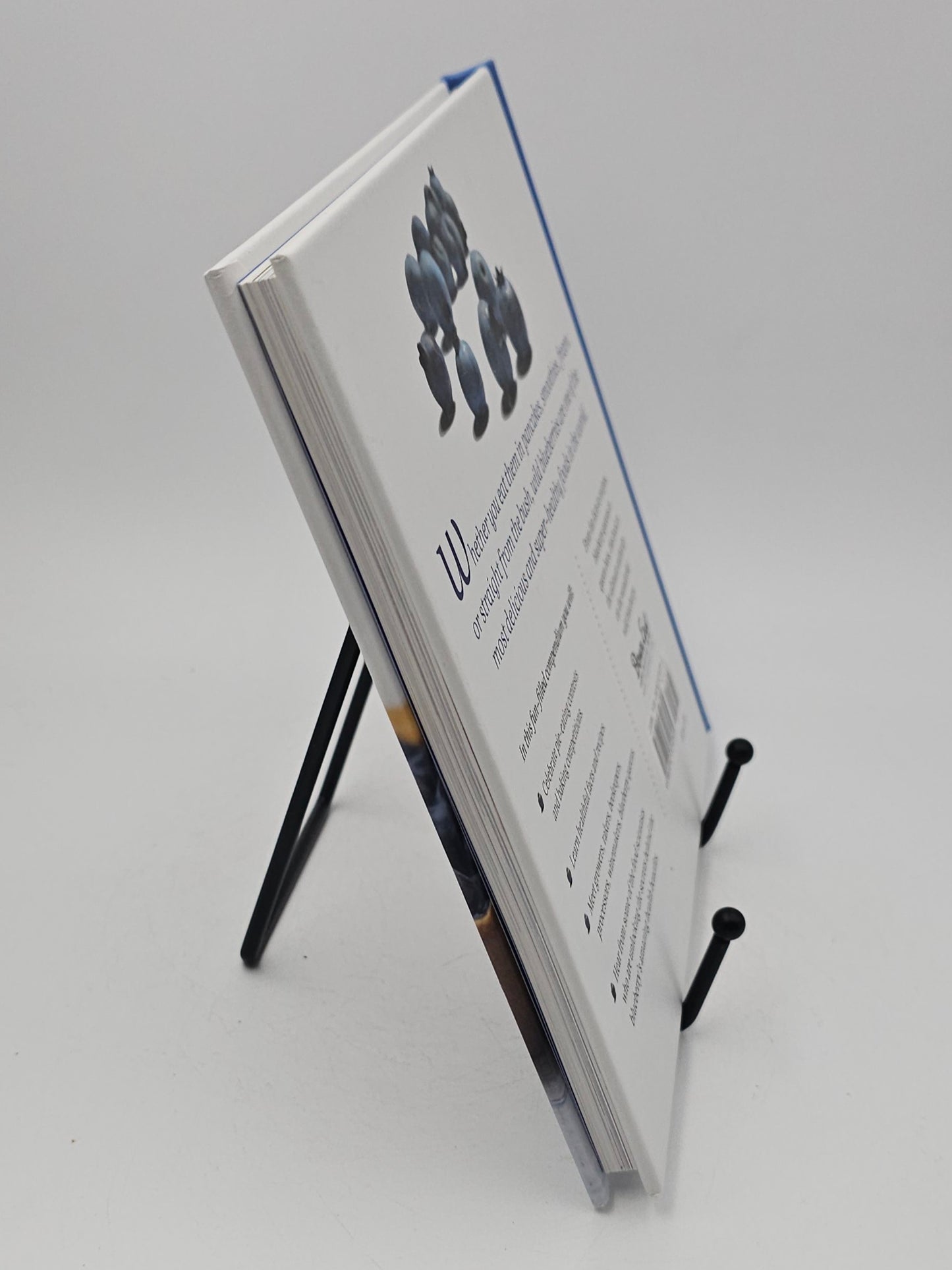 The Wild Blueberry Book by Virginia M. Wright