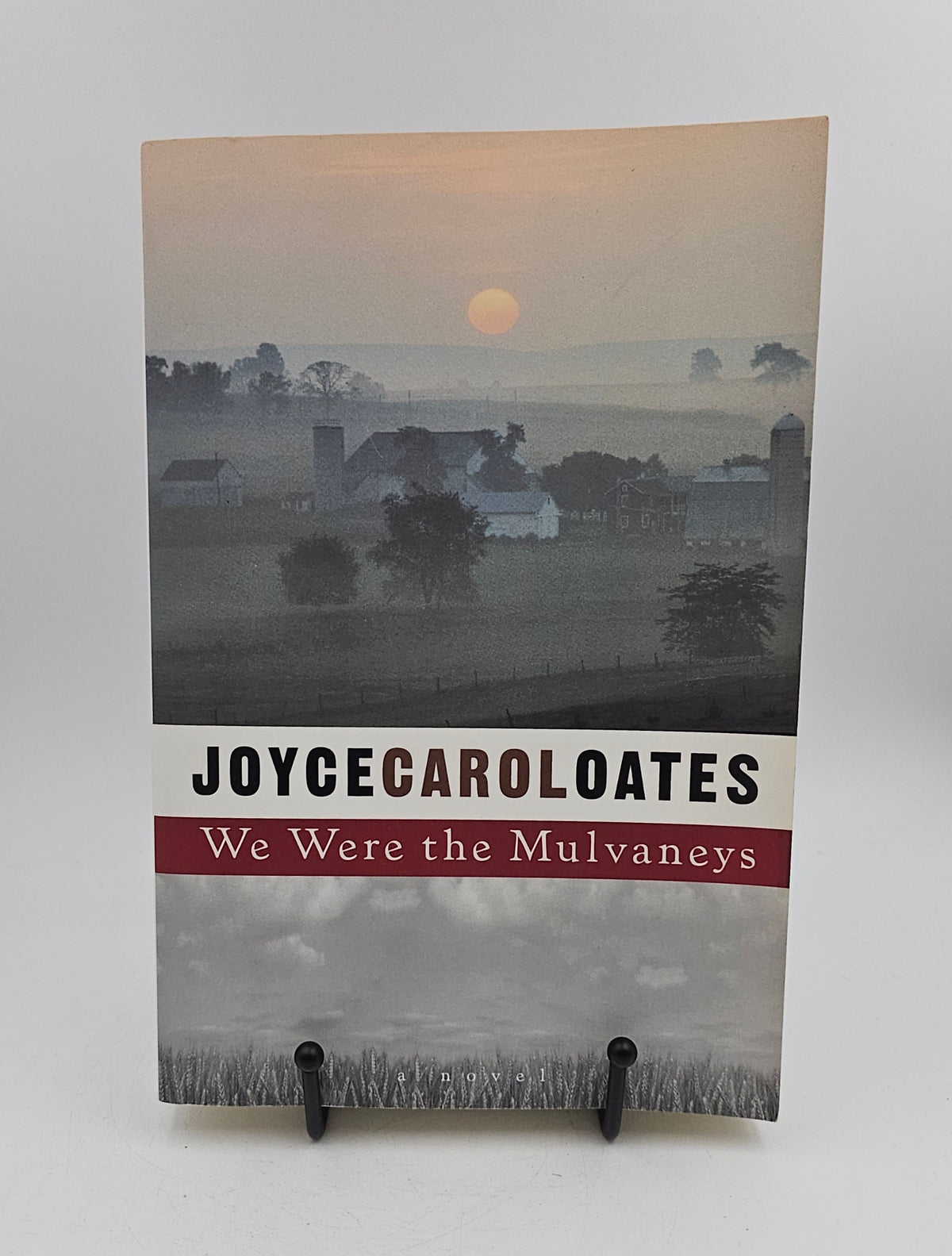 We Were the Mulvaneys by Joyce Carol Oates