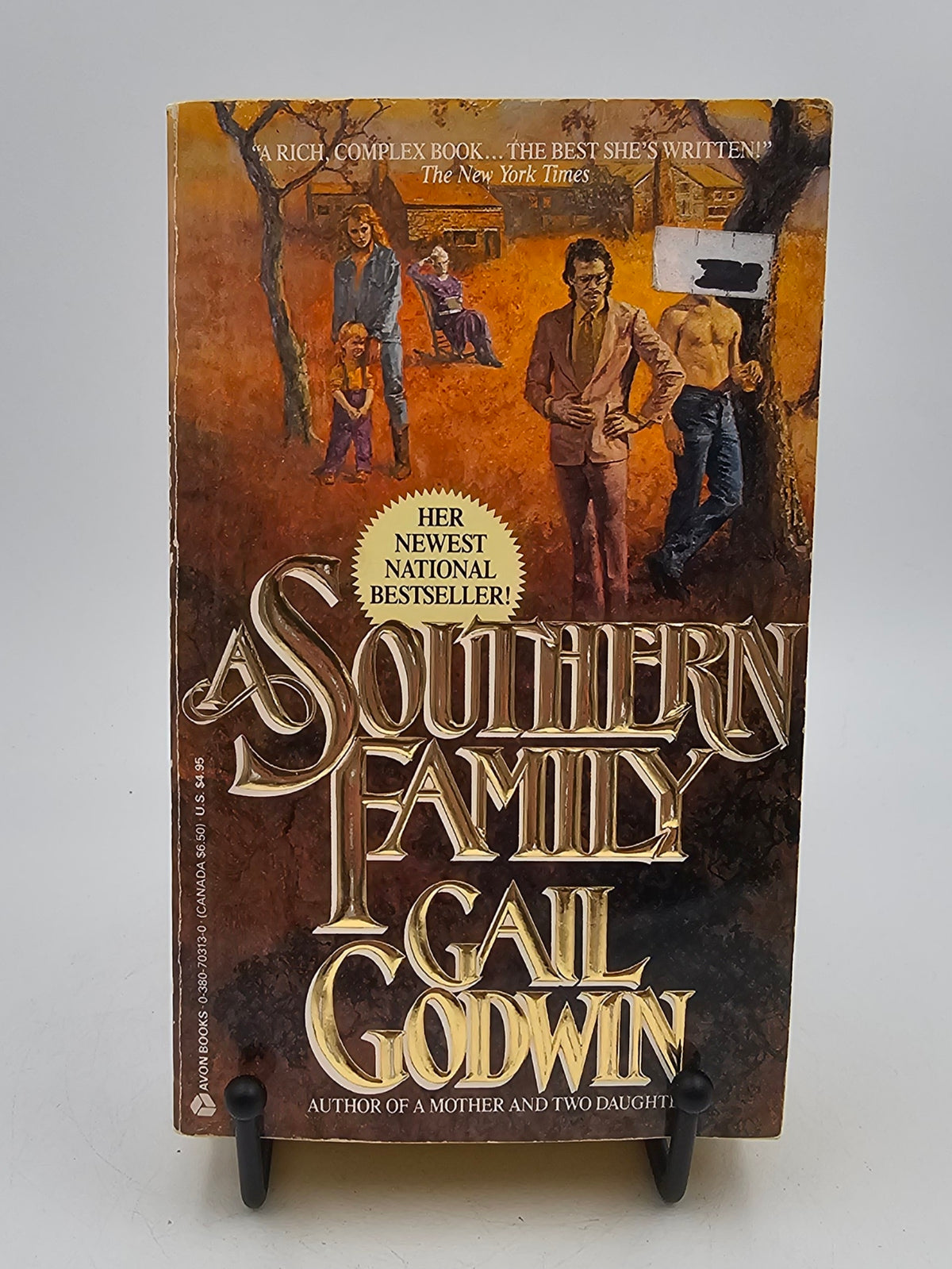 A Southern Family by Gail Godwin