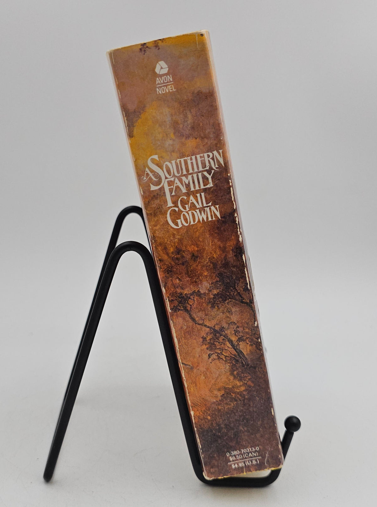 A Southern Family by Gail Godwin