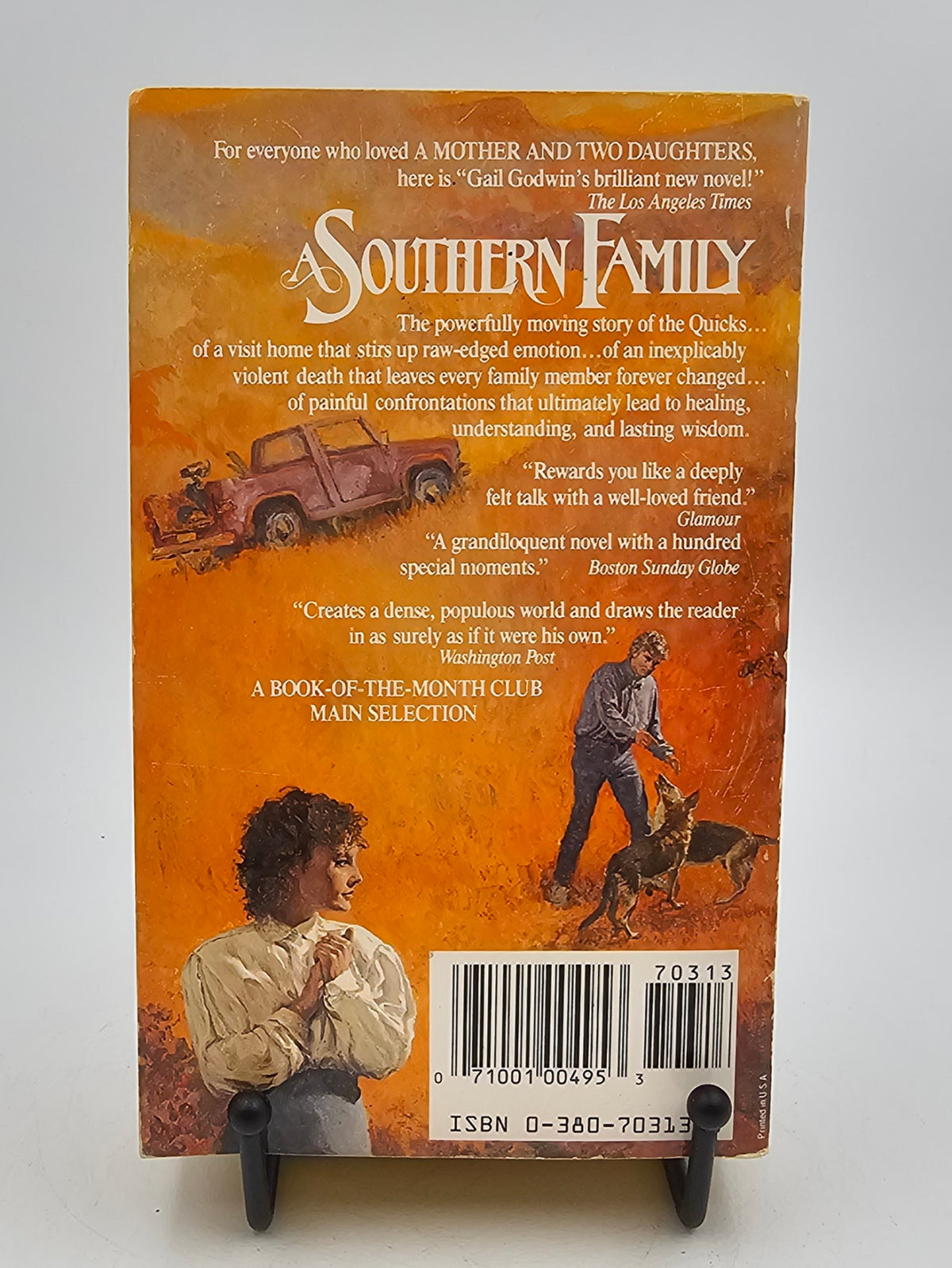 A Southern Family by Gail Godwin