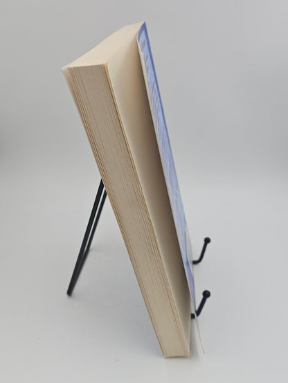The Handyman by Carolyn See