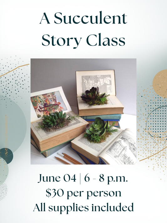 A Succulent Story Class